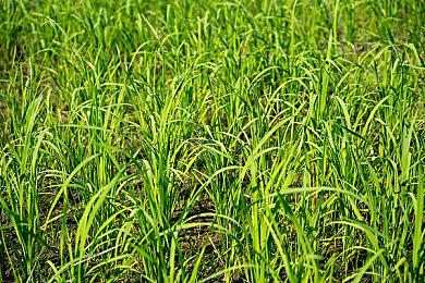 为希望而战！组队打丧尸游戏《最后的营地》现已发售