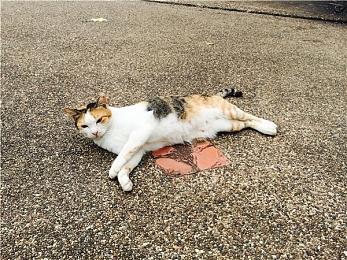 生存恐怖新游《木卫四协议》引擎生成预告片分享