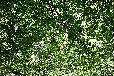 游戏未售补丁先行 《漫威蜘蛛侠2》更新档发布